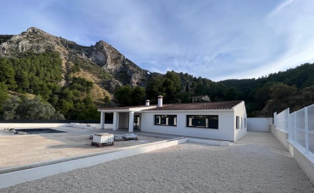 New Build - detached - Penáguila