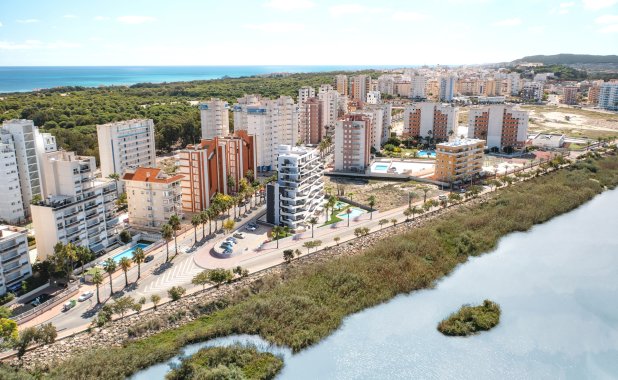 New Build - ground-floor - Guardamar del Segura