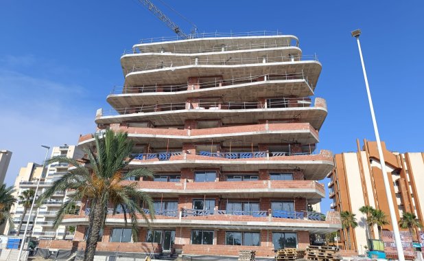 New Build - ground-floor - Guardamar del Segura