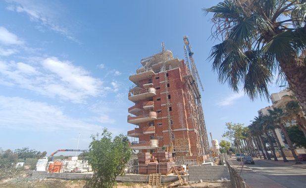 New Build - ground-floor - Guardamar del Segura