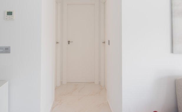 New Build - detached - Pinar de Campoverde
