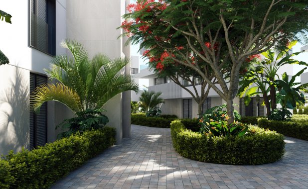 New Build - apartment - Torre-Pacheco