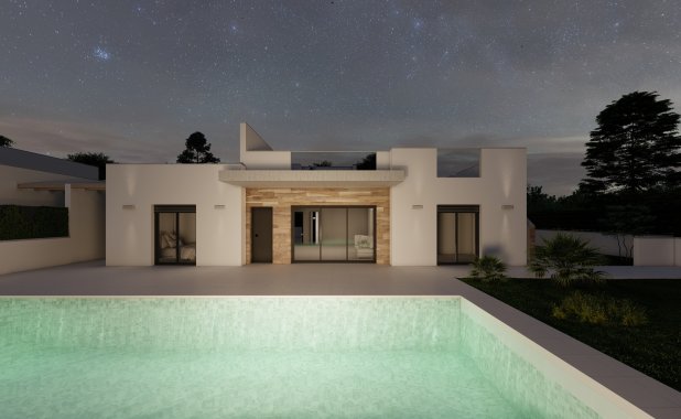 New Build - detached - Roldán
