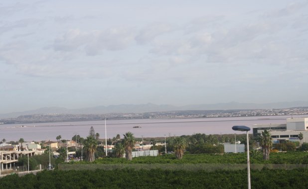 New Build - terraced - Torrevieja