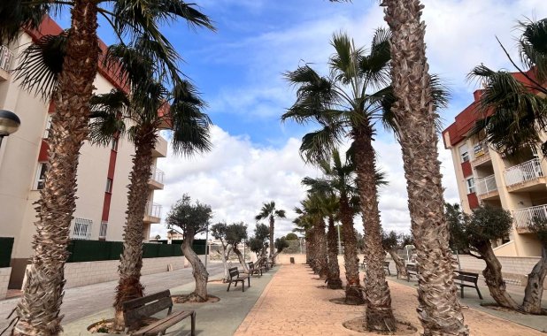 New Build - apartment - Orihuela