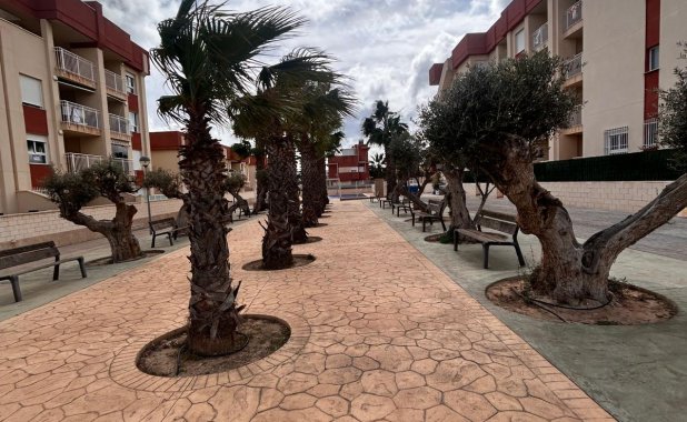 New Build - Penthouse - Orihuela