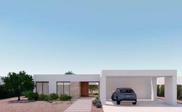 Obra nueva - detached - Fuente Alamo