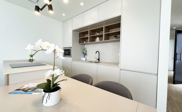 New Build - detached - Torre de la Horadada