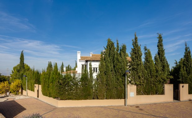 Obra nueva - terraced - Fuente Alamo