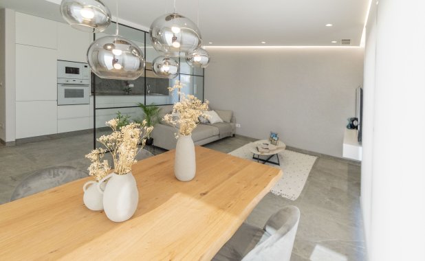 Obra nueva - detached - Pilar de la Horadada