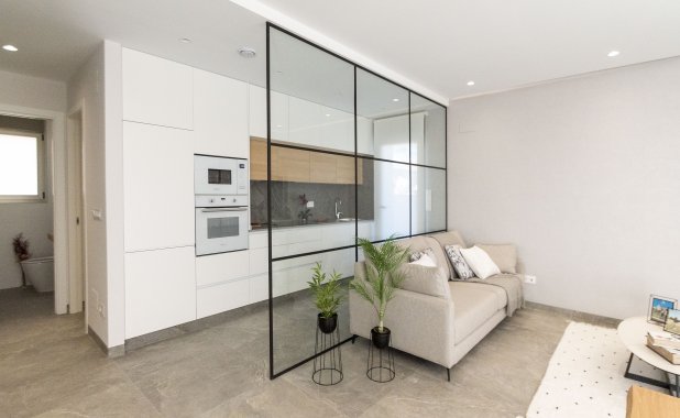 Obra nueva - detached - Pilar de la Horadada