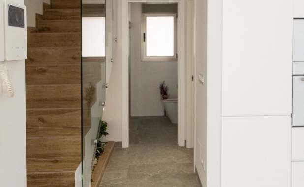 Obra nueva - detached - Pilar de la Horadada