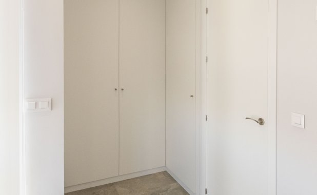 Obra nueva - detached - Pilar de la Horadada