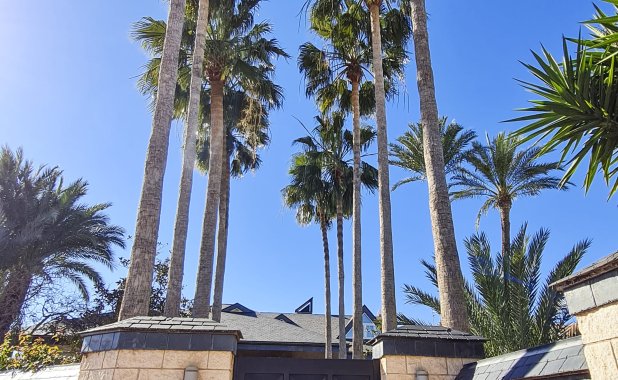 Obra nueva - Villa - San Pedro del Pinatar