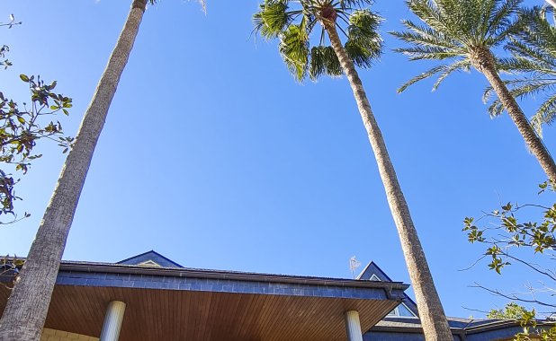 Obra nueva - Villa - San Pedro del Pinatar