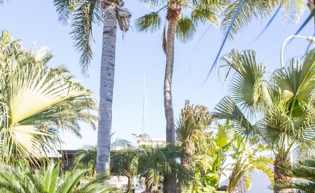 Obra nueva - Villa - San Pedro del Pinatar