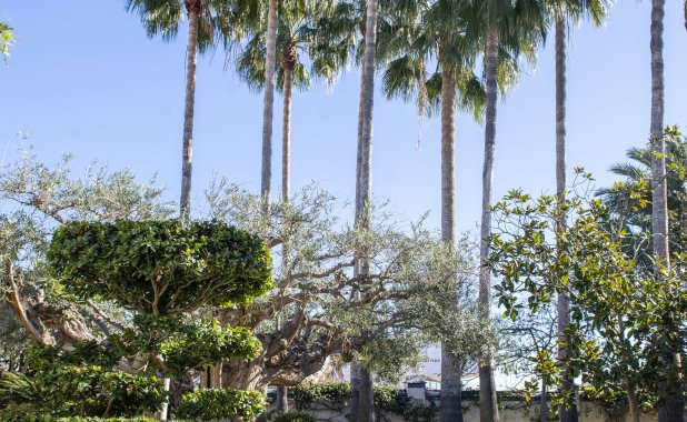 Obra nueva - Villa - San Pedro del Pinatar