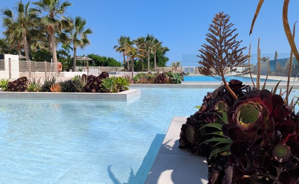 Obra nueva - apartment - Denia - Dénia