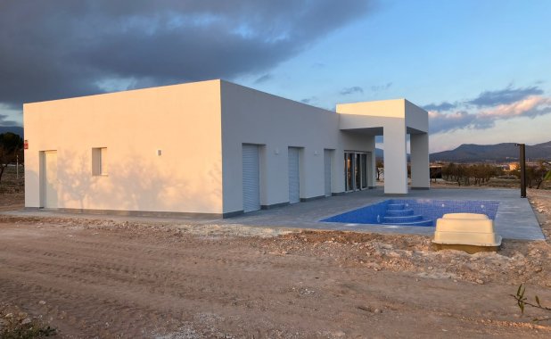 New Build - detached - Pinoso