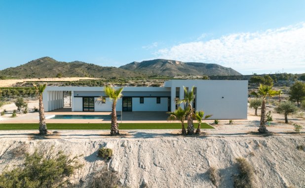 New Build - detached - Pinoso