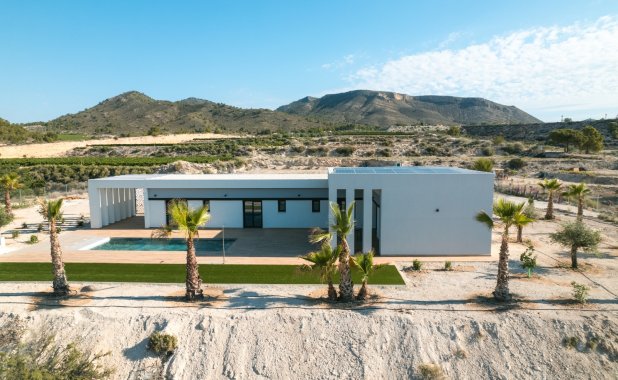 New Build - detached - Pinoso