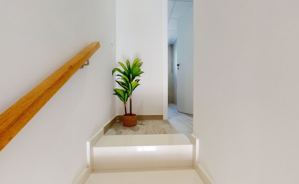 Obra nueva - apartment - Pilar de la Horadada