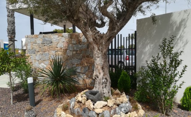 New Build - high-bungalow - Torrevieja