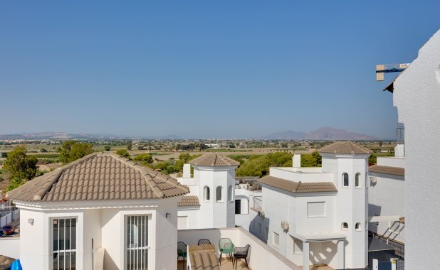 Obra nueva - detached - San Fulgencio