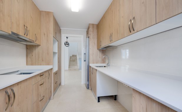 Obra nueva - detached - San Fulgencio