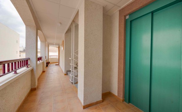 Obra nueva - apartment - San Fulgencio