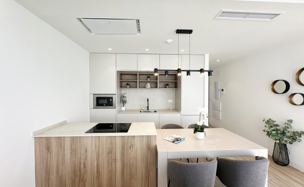 Obra nueva - detached - Torre de la Horadada