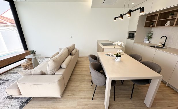 Obra nueva - detached - Torre de la Horadada