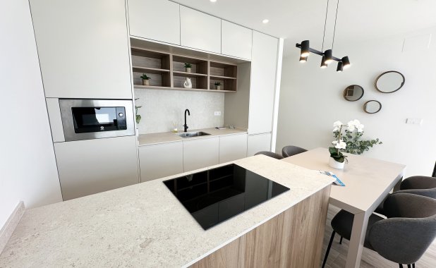 Obra nueva - detached - Torre de la Horadada