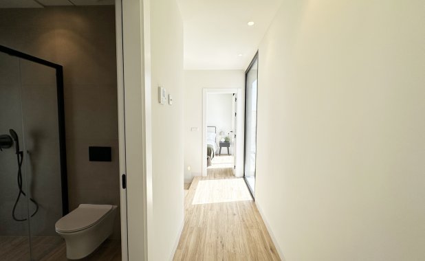 Obra nueva - detached - Torre de la Horadada