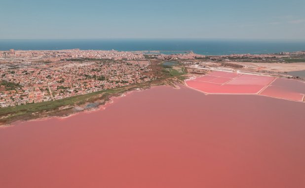 New Build - high-bungalow - Torrevieja