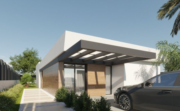 Новое здание - detached - Molina de Segura