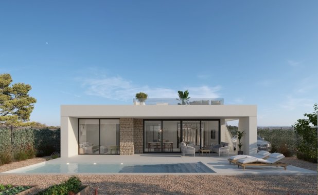 Новое здание - detached - Hacienda del Alamo Golf