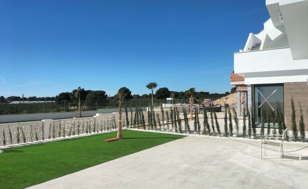 Obra nueva - detached - Pilar de la Horadada