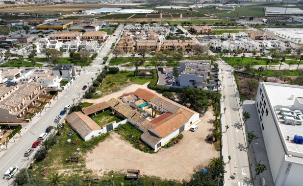Obra nueva - detached - Pilar de la Horadada