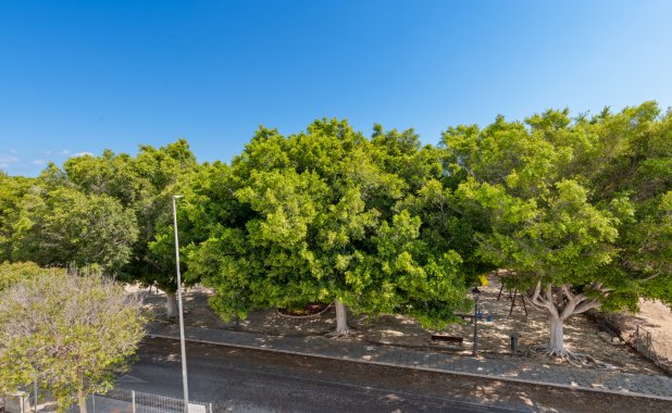 New Build - Villa - Mil Palmeras