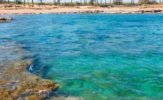 New Build - apartment - Torrevieja