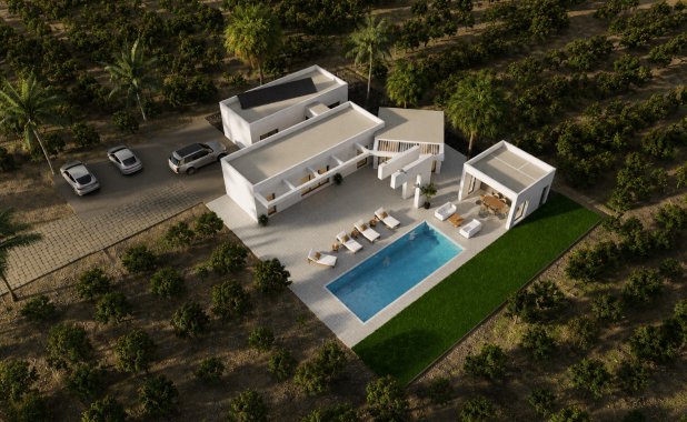 New Build - detached - Benejúzar