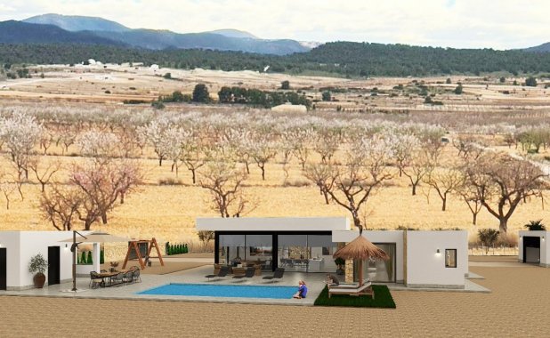 New Build - detached - Pinoso
