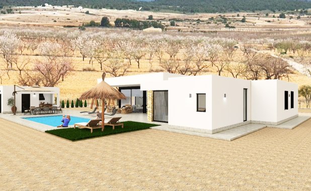 New Build - detached - Pinoso