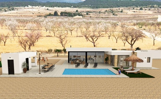 New Build - detached - Pinoso