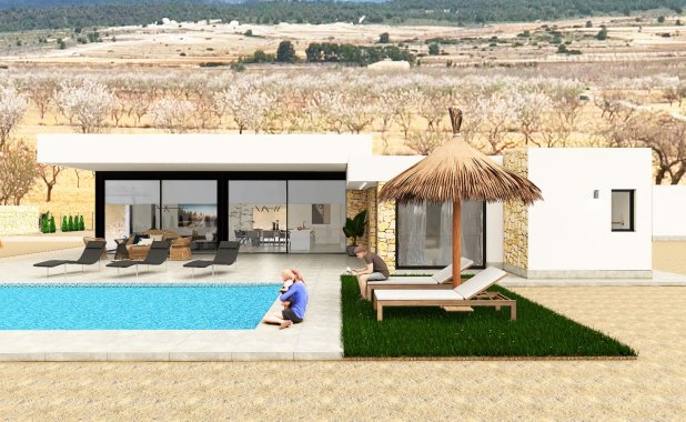 New Build - detached - Pinoso