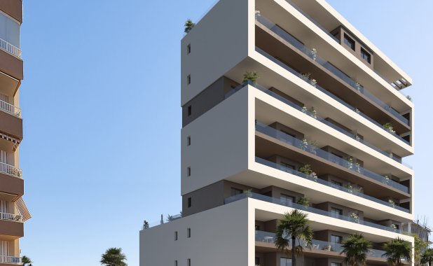 New Build - ground-floor - Guardamar del Segura