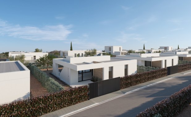 New Build - detached - Fuente Alamo