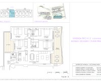 New Build - apartment - Playa Flamenca